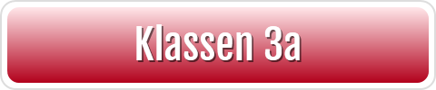 Klassen 3a